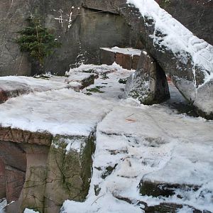 Polar bear grotto no 2