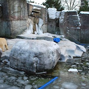 Polar bear grotto no 1