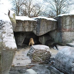 Polar bear grotto no 1