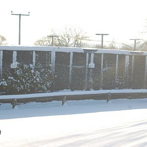 Brilliant Weather for Zoo Enthusiasts