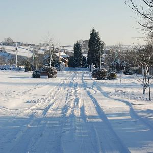 Brilliant Weather for Zoo Enthusiasts
