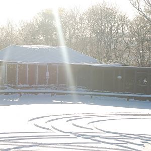 Brilliant Weather for Zoo Enthusiasts