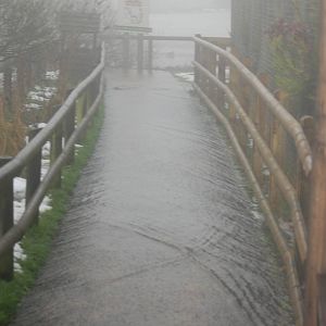 Path Next to "Pelican World" under 2 inches of water!