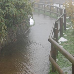 Path Next to "Pelican World" under 2 inches of water!