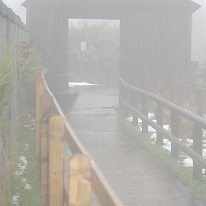 Path Next to "Pelican World" under 2 inches of water!