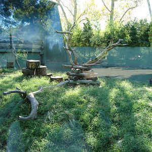 Mandrill enclosure