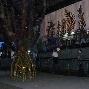 Wild Sea - January, 2010