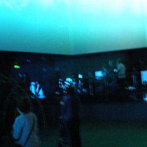 Wild Sea - January, 2010