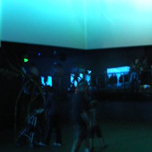 Wild Sea - January, 2010