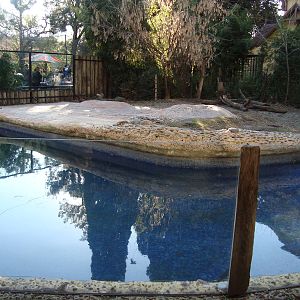 Lowland tapir enclosure