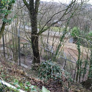 FROM ABOVE THE TIGER PIT