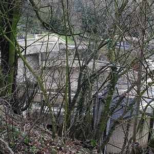 FROM ABOVE THE POLAR BEAR PIT