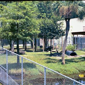 Old South American Field Exhibit