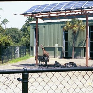 Old Giraffe/Zebra Exhibit