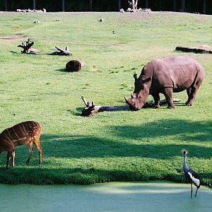 African Field Exhibit