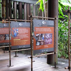 Pangolin Conservation Signs