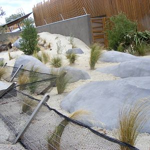 Penguin Exhibit, Wild Sea - January, 2010