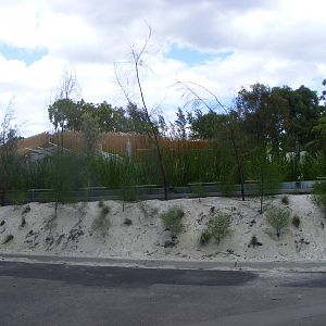 Wild Sea - January, 2010