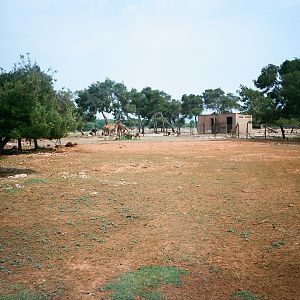 Auto Safari Zoo 1989 - General scene