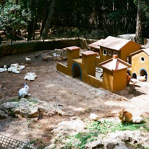 Auto Safari Zoo 1989 - Rabbit village