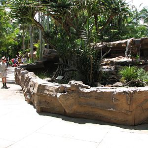 Australia Zoo 2007 - Lizard exhibit