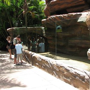 Australia Zoo 2007 - Komodo Dragon exhibit