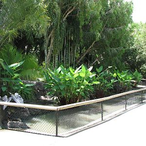 Australia Zoo 2007 - Tortoise exhibit