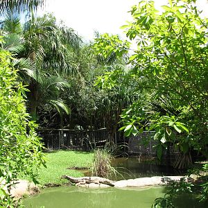 Australia Zoo 2007 - Freshwater Crocodile exhibit