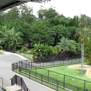 Australia Zoo 2007 - Saltwater Crocodile exhibit seen from the restaurant