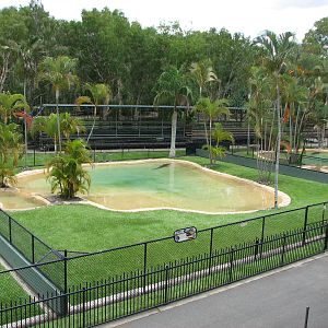 Australia Zoo 2007 - Saltwater Crocodile exhibit seen from the restaurant