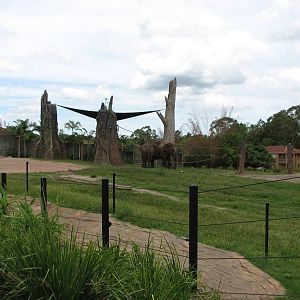 Australia Zoo 2007 - Asiatic Elephant exhibit
