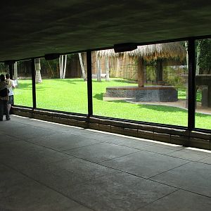 Australia Zoo 2007 - Tiger exhibit viewing window