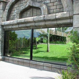 Australia Zoo 2007 - Tiger exhibit viewing window