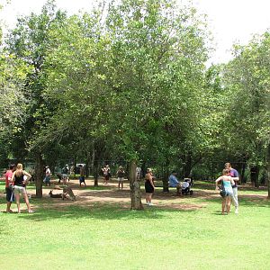 Australia Zoo 2007 - Walk-through Kangaroo and Wallaby enclosure