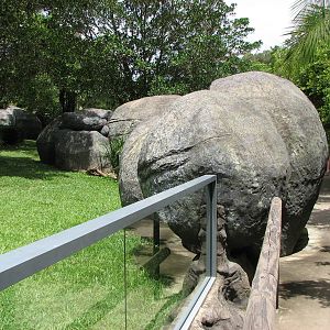 Australia Zoo 2007 - Alongside the Wombat exhibit