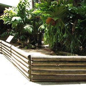 Australia Zoo 2007 - Kookaburra and Tawny Frogmouth exhibit