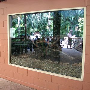 Australia Zoo 2007 - Boa exhibit