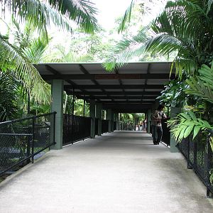 Australia Zoo 2007 - Passage past the Alligator exhibits
