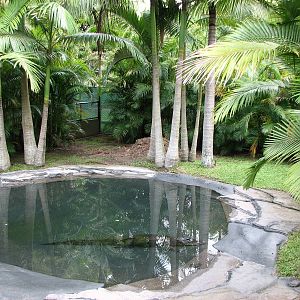 Australia Zoo 2007 - American Alligator exhibit