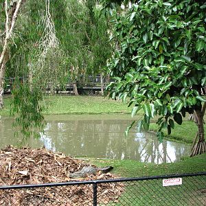 Australia Zoo 2007 - Keeping a close eye