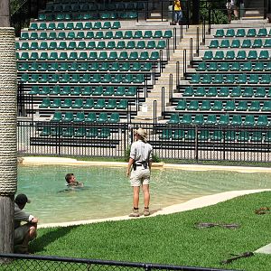 Australia Zoo 2007 - Crocoseum