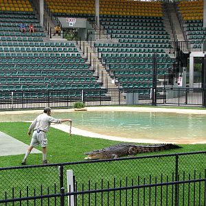 Australia Zoo 2007 - Crocoseum