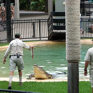 Australia Zoo 2007 - Crocoseum