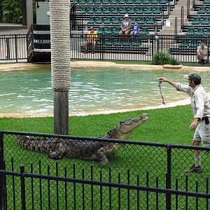 Australia Zoo 2007 - Crocoseum