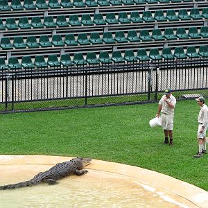Australia Zoo 2007 - Crocoseum
