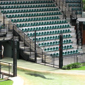 Australia Zoo 2007 - Crocoseum
