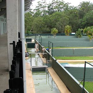 Australia Zoo 2007 - Crocodile pens behind the Crocoseum