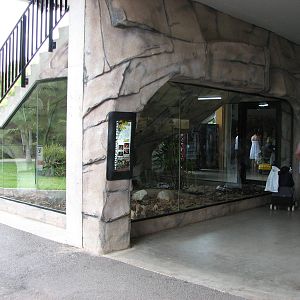 Australia Zoo 2007 - Reticulated Python exhibit under the Crocoseum