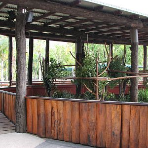 Australia Zoo 2007 - Koala exhibit