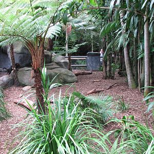 Australia Zoo 2007 - Tasmanian Devil exhibit